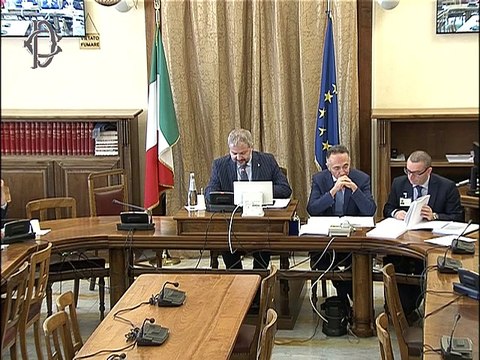 Roma Missioni internazionali e processi di pace, audizione Istat (30.10.19)