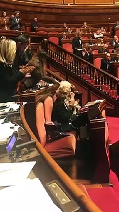 Roma - I Senatori del centrodestra si astengono sulla mozione di Liliana Segre (30.10.19)