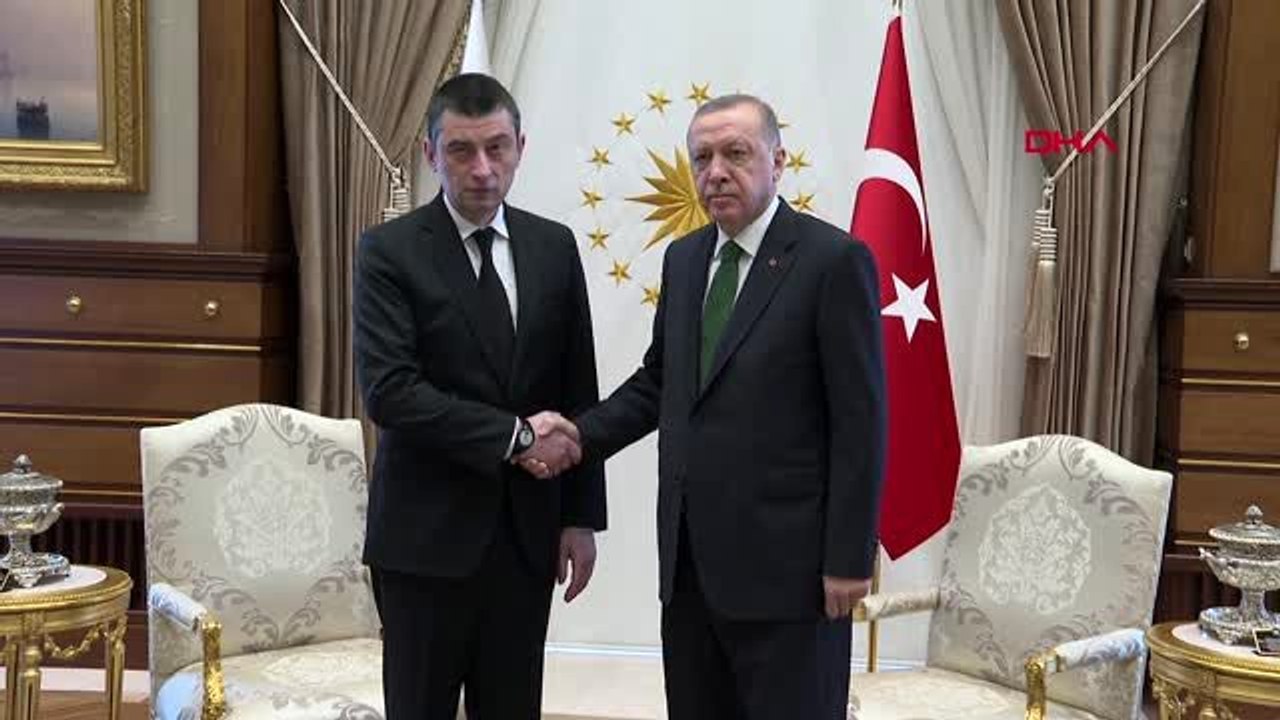 Erdoğan gürcistan başbakanı giorgi gakharia ile görüştü