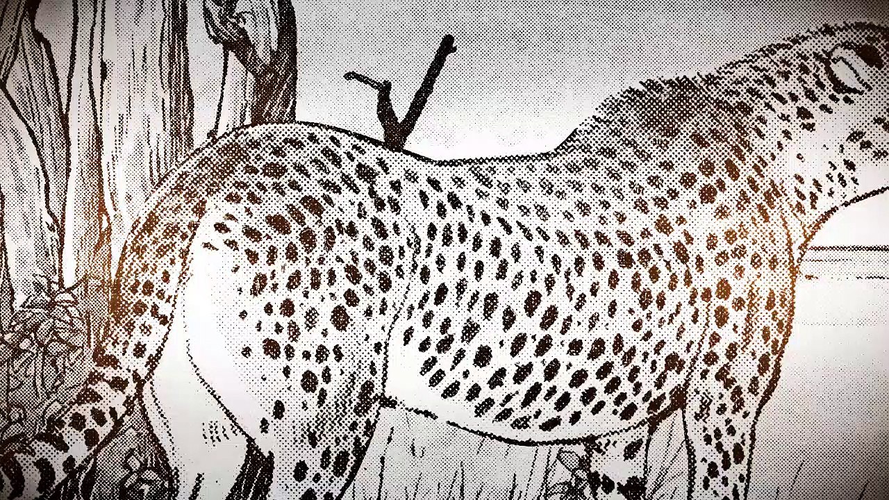 Noah's ark - ノアズアーク - Bande annonce