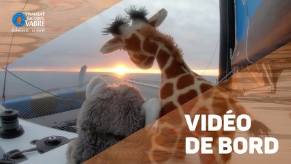 TRANSAT JACQUES VABRE INSIDE - Solidaires en Peloton ARSEP - 31/10/2019