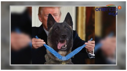 Trump to welcome military working Dog Conan to White House | Oneindia Kannada