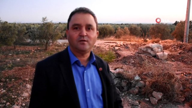 'Tapulu Arazim' Dedi Asfaltın Ortasına Hafriyat Döküp, Zeytin Fidanı Dikti