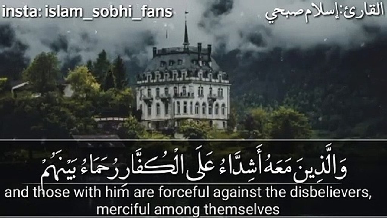 محمد رسول الله والذين معه بصوت القارىء اسلام صبحي | سورة الفتح