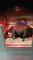 Heavily pregnant American Pocket Bulldog stolen from Northern Ireland home