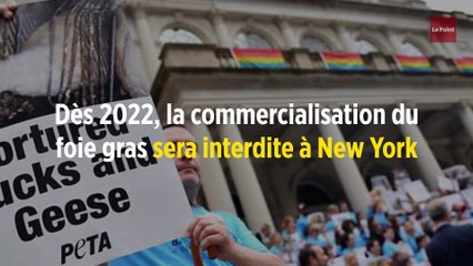 Dès 2022, la commercialisation du foie gras sera interdite à New York