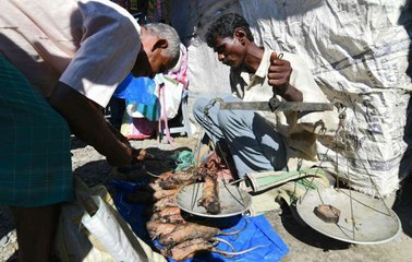 En Inde, une viande très surprenante se vend à prix d'or