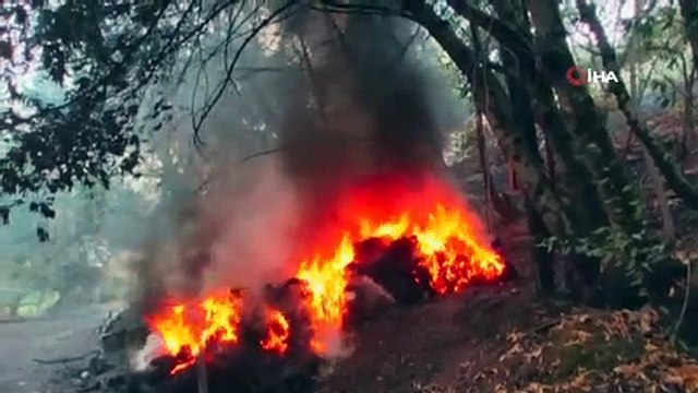 Kaliforniya orman yangınlarıyla mücadele ediyor