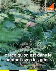 On Capte À... Cazères avec Thomas, artiste peintre