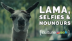 Culture Week by Culture Pub - Lama, Selfies et Nounours