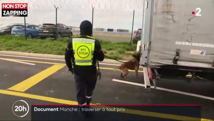 Les journalistes de France 2 tombent sur des migrants cachés dans un camion vers l'Angleterre (vidéo)