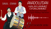 Anadolu'dan Halaylarımız Oyunlarımız-Sevda-Çeçen Kızı-Şıvıkı-İki ayak-Malatya Ağırlaması