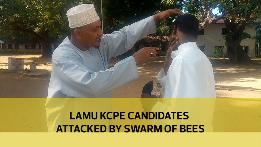 Lamu Kcpe Candidates Attacked By Swarm Of Bees Video Dailymotion - trevs train simulator roblox