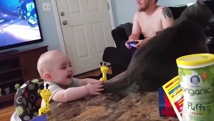 Baby and Cat Fun and Fails - Funny Fails Baby Video
