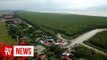 Buffer zone to be built near Kepala Batas mangrove forest, says MBSP