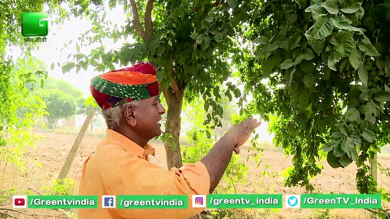 Wood Apple Farming - Full Information | Safal Kisan बताएँगे Wood Apple Farming की पूरी जानकारी