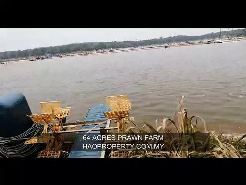 64 Acres Shirmp Farm in Kota Tinggi Area