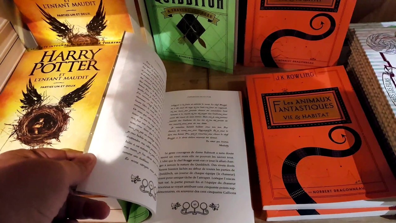 L’univers de Harry Potter dans un « chemin de traverse » mulhousien