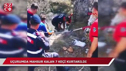 Uçurumda mahsur kalan 7 keçi kurtarıldı