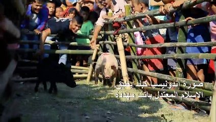 مشاريع تنمية "السياحة الحلال" تثير تحفظات في إندونيسيا