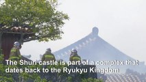 World Heritage castle blaze in Japan's Okinawa 'under control'