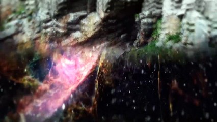 SIN CONSERVANTES - HUELLAS DE LA TIERRA