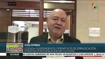 Colombia: suspendidos operativos de erradicación forzosa de cultivos
