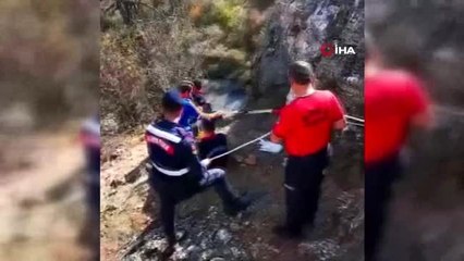 Bolu'da, uçurumda mahsur kalan keçileri itfaiye kurtardı