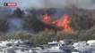 Incendies en Californie : le site où reposent les époux Reagan menacé