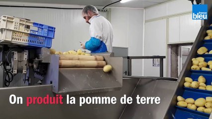 Les Pommes De Terre - Le Grand Thuré à St Paterne Racan -  Alexis Gruson