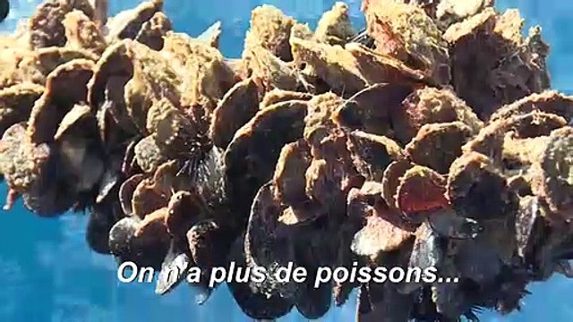 L'aquaculture, seul horizon des petits pêcheurs marocains en Mediterranée