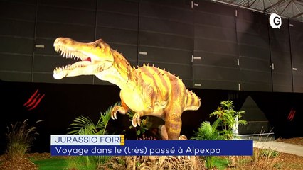 Dinosaures, Grand séchoir, Kevin Aymoz - 31 OCTOBRE 2019