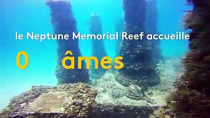 Floride : un cimetière sous-marin accueille 700 âmes