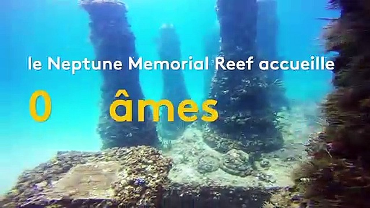 Floride : un cimetière sous-marin accueille 700 âmes