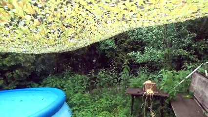 Drache Labert Part 7 Pool und Garten