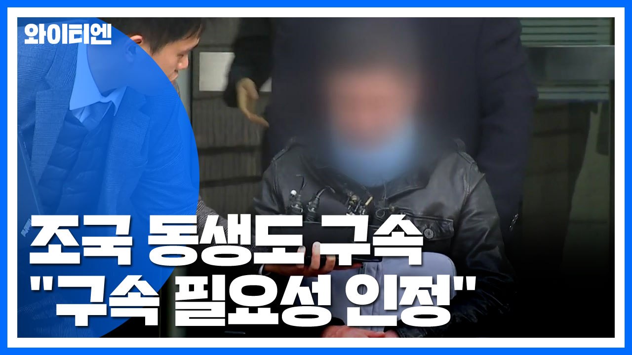 조국 동생도 구속..."구속 필요성 인정" / YTN