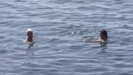 Tiempo para todos los gustos durante el puente de Todos los Santos