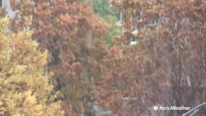 It's going to be a white Halloween for some people