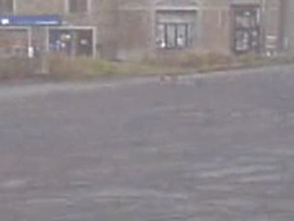 ma kyosho inferno mp 7.5 sport MK3