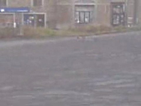 ma kyosho inferno mp 7.5 sport MK3