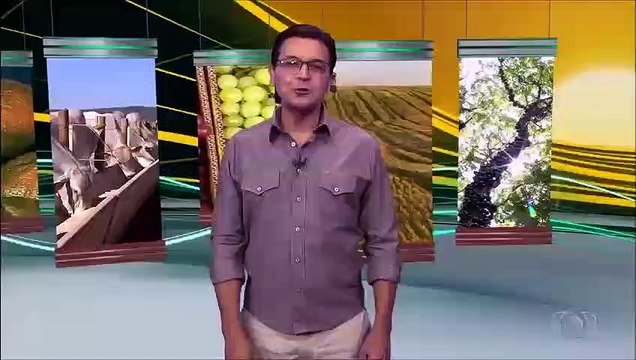 Dicas para criar plantas em apartamentos e casas