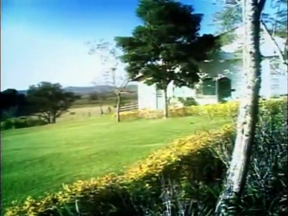 EDUCANDO PARA A PAZ_