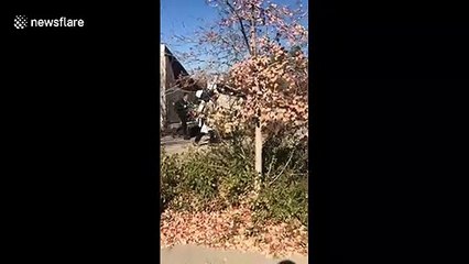 Genius Monty Python costumes win Halloween holy grail for Utah college students