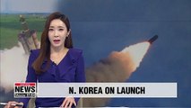 Launches involved N. Korea's newly-developed multiple rocket launcher system: State media