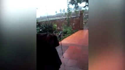 Após obra, água escorre da chuva está sendo jogada para dentro de imóvel em Assis Chateaubriand