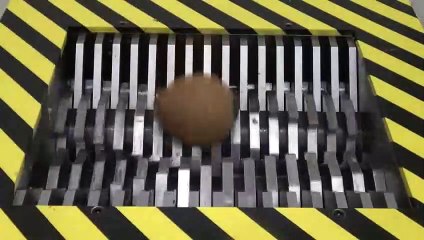 Entering Coconut into the Shredder, What Is the Result?