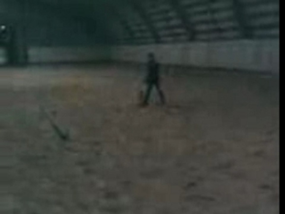 VID008