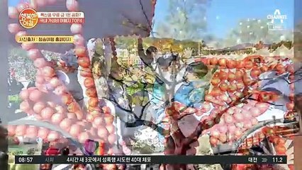 청송군 추천 여행지 '청송사과축제'&단풍 명소 '주왕산 국립공원'!