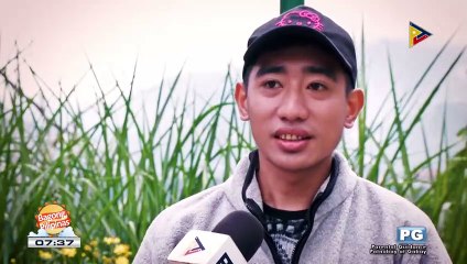 FEATURE: Haunted places in Baguio