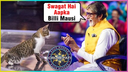 KBC 11 | Amitabh Bachchan Welcomes A CAT On The Show As A Contestant